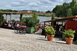 Zwieren aan de Loire