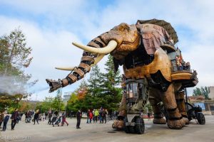 Een ritje op een olifantenrug...